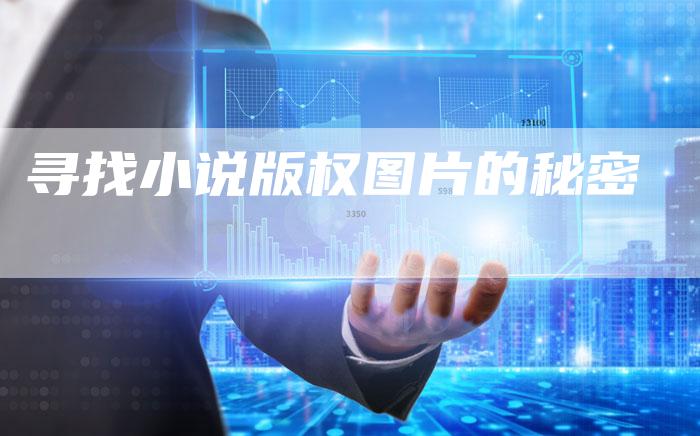 寻找小说版权图片的秘密
