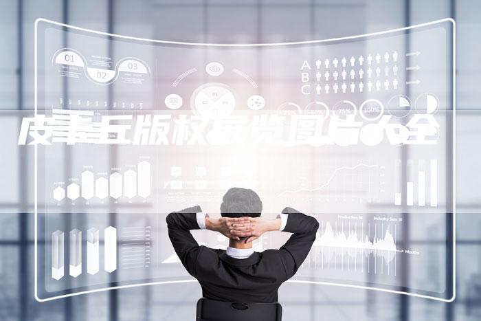 皮卡丘版权展览图片大全