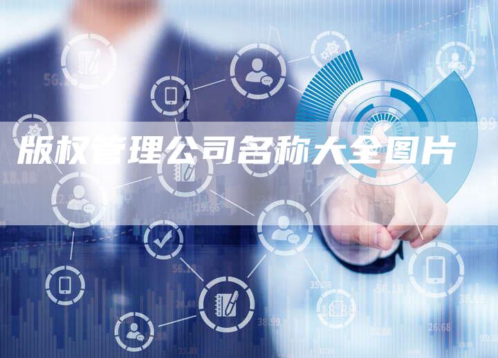 版权管理公司名称大全图片