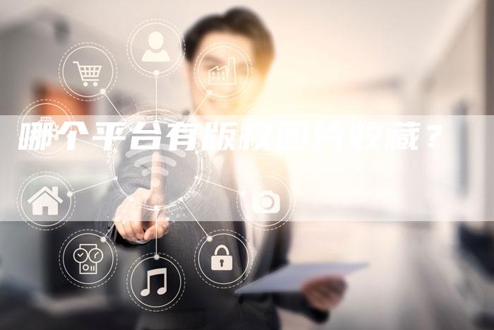 哪个平台有版权图片收藏？