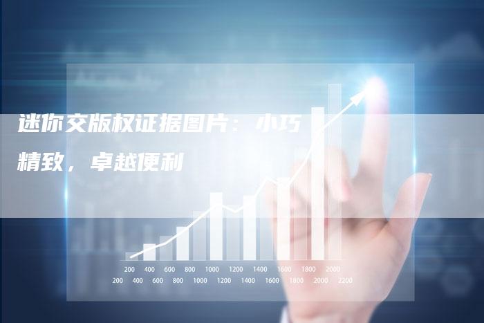 迷你交版权证据图片：小巧精致，卓越便利
