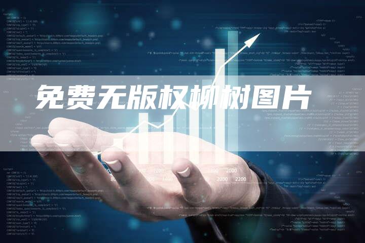 免费无版权柳树图片