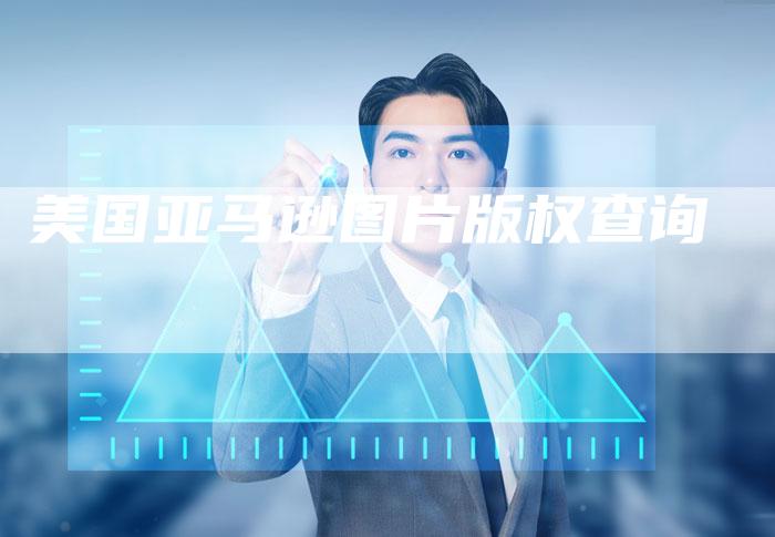 美国亚马逊图片版权查询