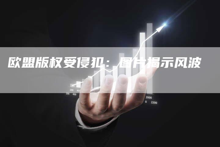 欧盟版权受侵犯：图片揭示风波