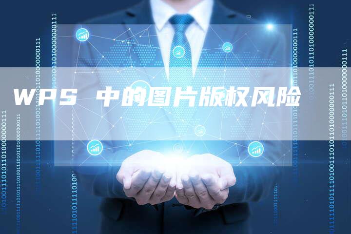 WPS 中的图片版权风险