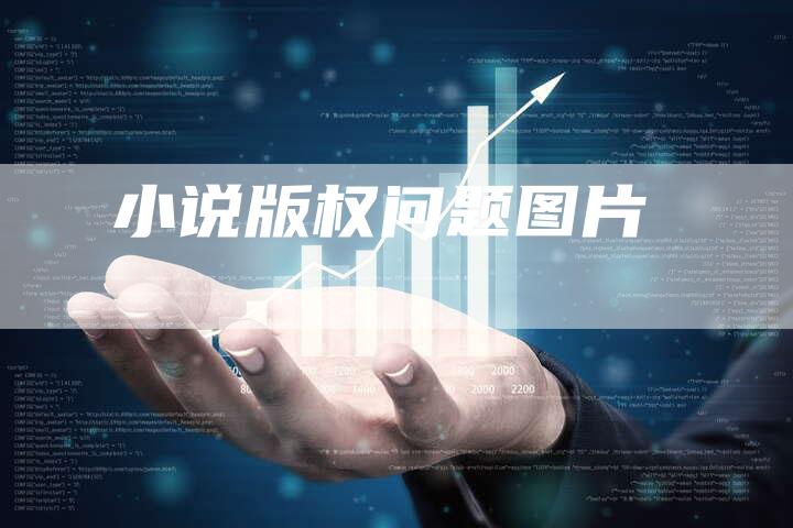 小说版权问题图片