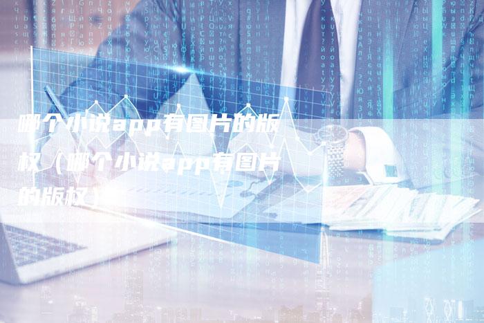 哪个小说app有图片的版权（哪个小说app有图片的版权）