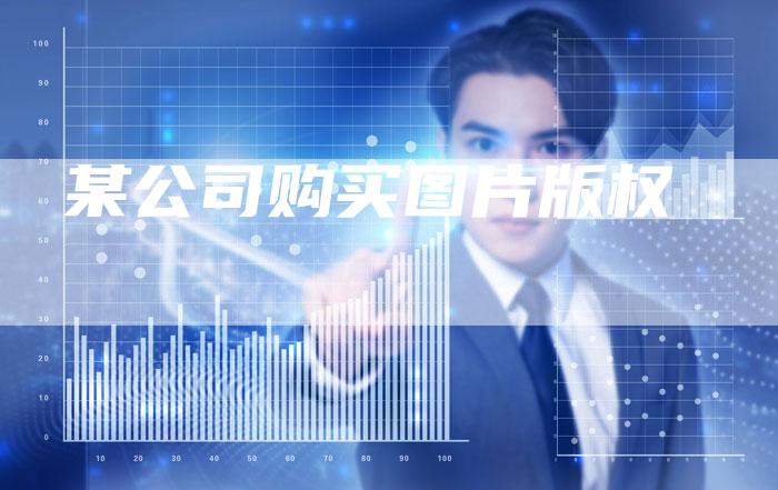 某公司购买图片版权