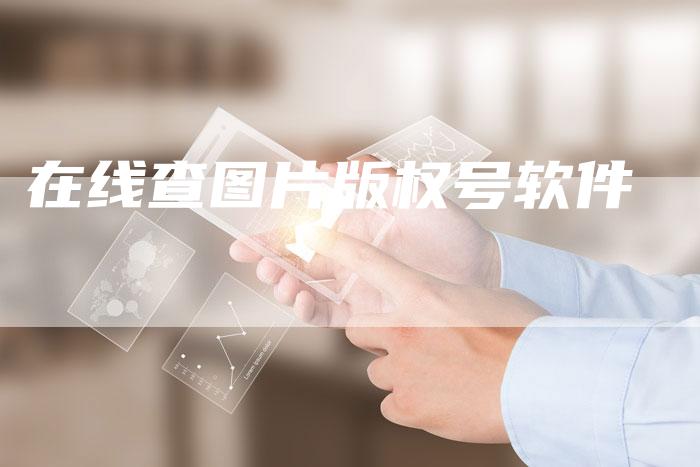 在线查图片版权号软件