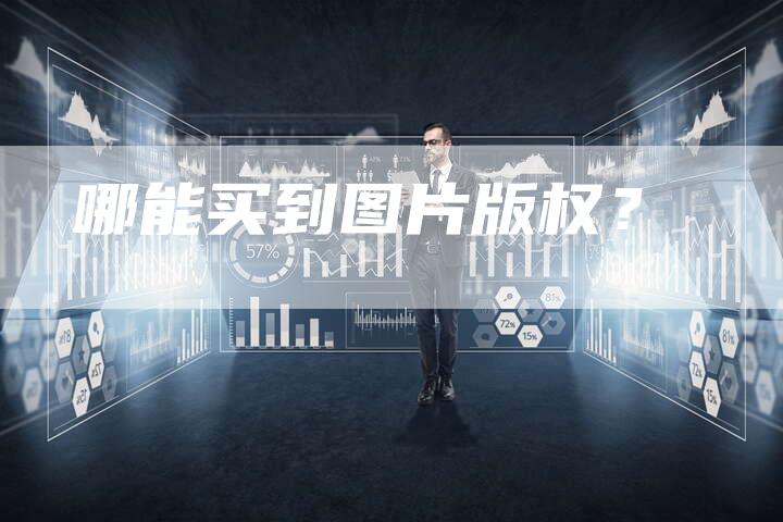 哪能买到图片版权？