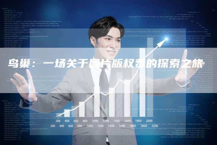 鸟巢：一场关于图片版权费的探索之旅