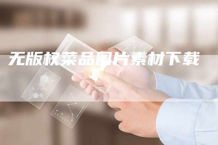 无版权菜品图片素材下载