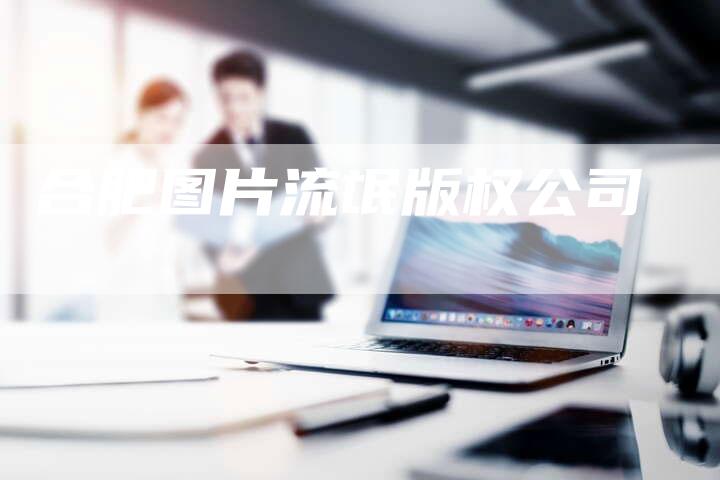 合肥图片流氓版权公司