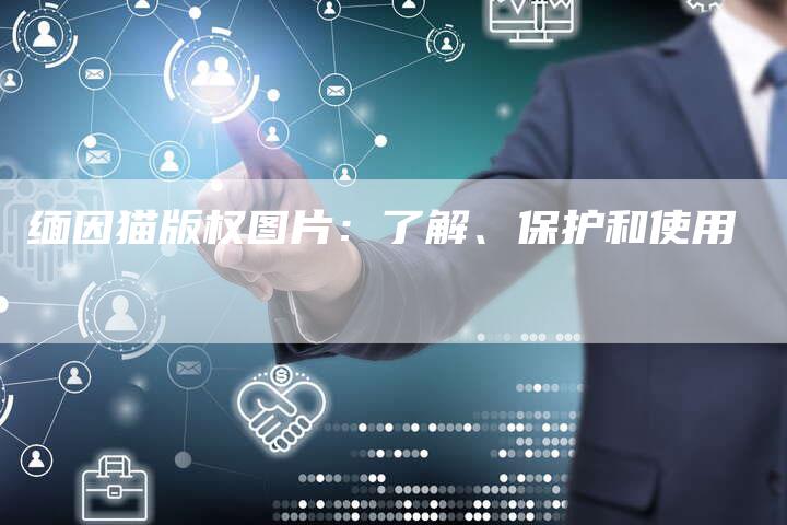 缅因猫版权图片：了解、保护和使用