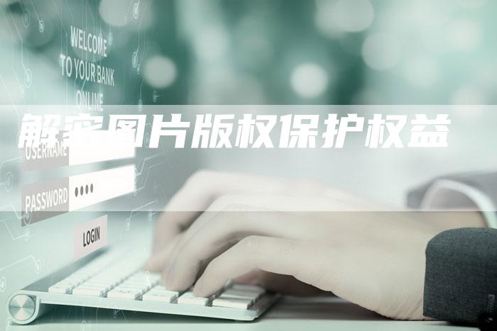 解密图片版权保护权益