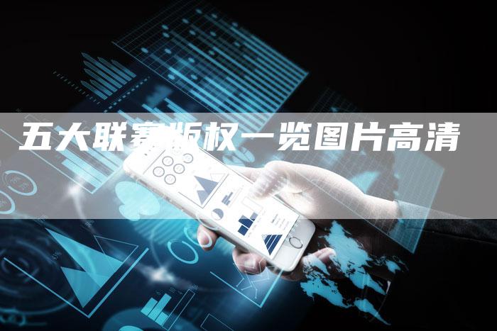 五大联赛版权一览图片高清