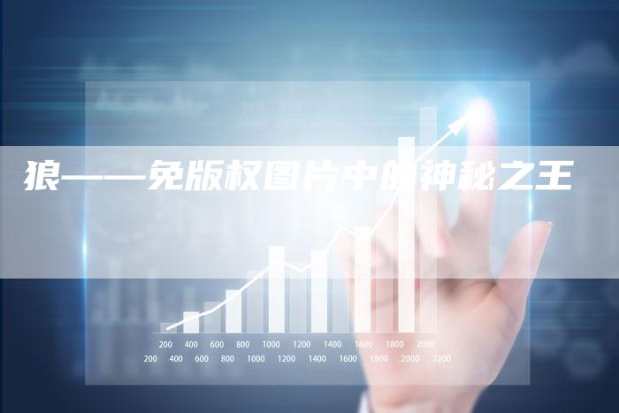 狼——免版权图片中的神秘之王