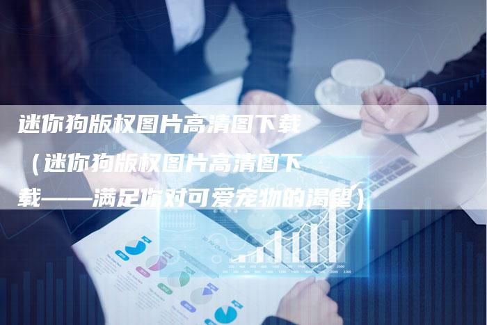 迷你狗版权图片高清图下载（迷你狗版权图片高清图下载——满足你对可爱宠物的渴望）