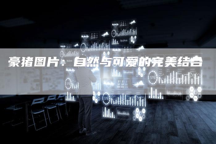 豪猪图片:自然与可爱的完美结合