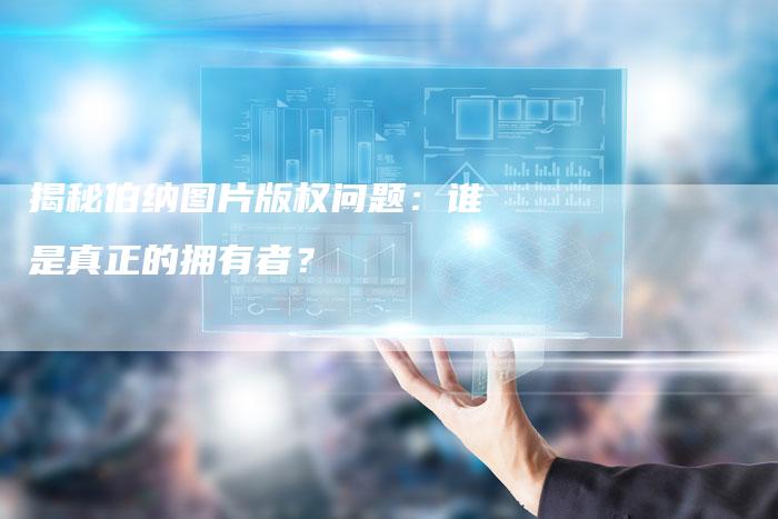 揭秘伯纳图片版权问题：谁是真正的拥有者？