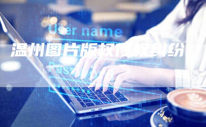 温州图片版权侵权纠纷