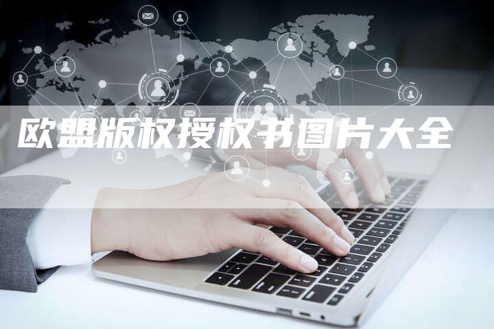 欧盟版权授权书图片大全