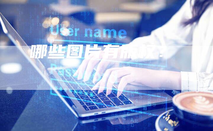 哪些图片有版权？
