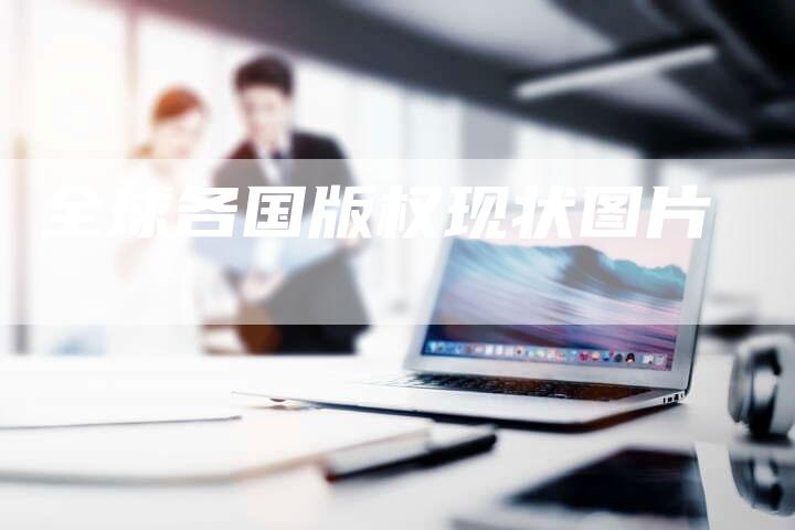全球各国版权现状图片