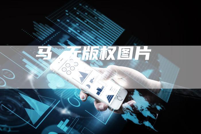 马 无版权图片
