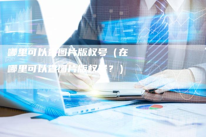 哪里可以查图片版权号(在哪里可以查图片版权号?)