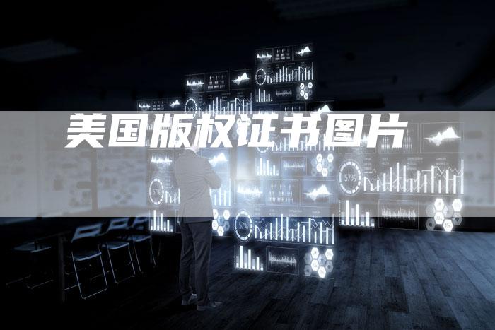 美国版权证书图片