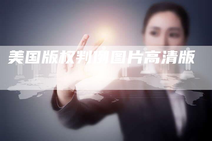 美国版权判例图片高清版